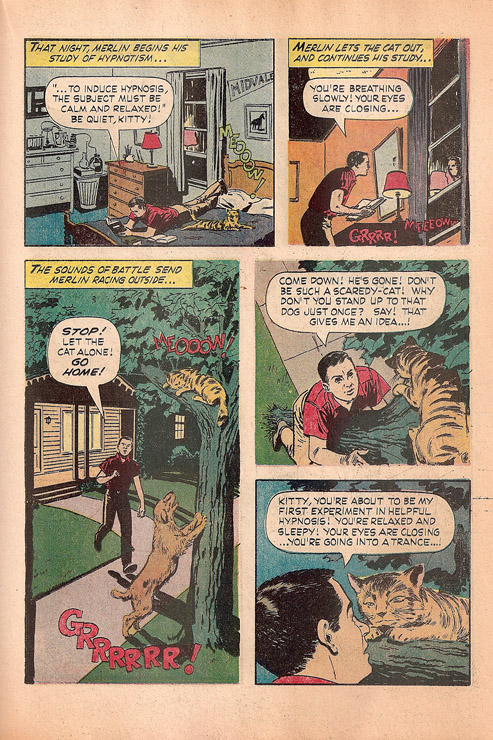 1964 Merlin Jones Comic page 17